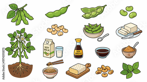 Complete soybean product vector set featuring edamame tofu tempeh soy milk and sauce