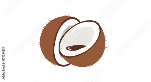 Fresh tropical coconut split in halves illustration