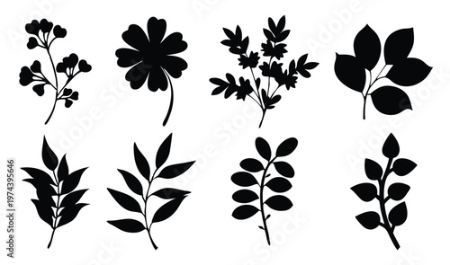 botanical floral branch silhouettes set isolated flat