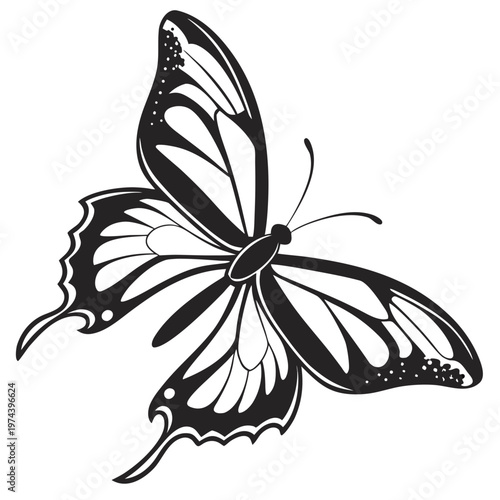 Elegant butterfly vector illustration, black and white monarch butterfly line art, decorative insect silhouette for tattoo and logo design