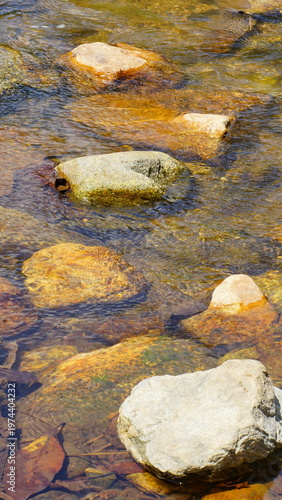 Top view of clear shallow stream water flowing gently over colorful natural rocks. Sunlight reflects on the surface, creating beautiful ripples and golden tones beneath the water. The stones of variou
