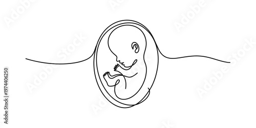 Minimalist continuous line drawing of a human fetus developing inside the mothers womb isolated Vector, illustration