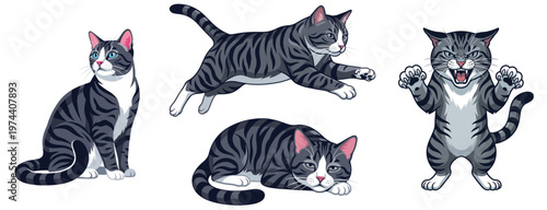 Grey tabby cat character set in various poses. Vector illustration of a domestic feline mascot isolated on white background.