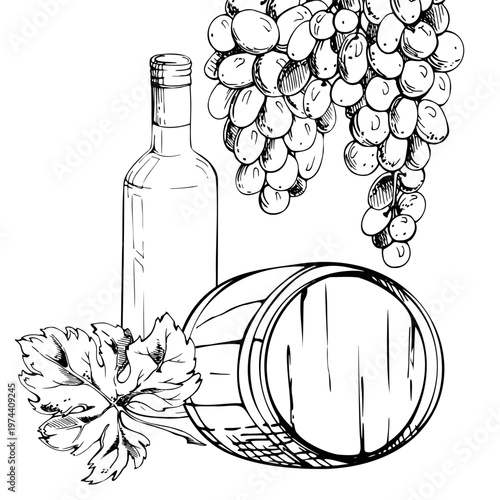 Wine bottle, cellar keg oak barrels, grape leaf and hanging ripe fruit clusters hand drawn in ink. Isolated vector illustration. Vineyard branding, harvest festivals, tasting events, region tour ads