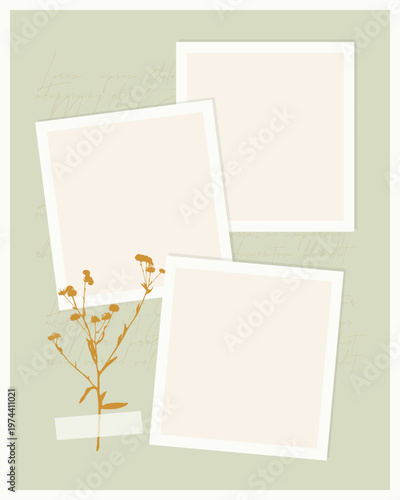 Minimalist scrapbook template with three blank photo frames, dried wildflower branch and washi tape on sage green background for social posts, moodboards and invitations. Vector illustration