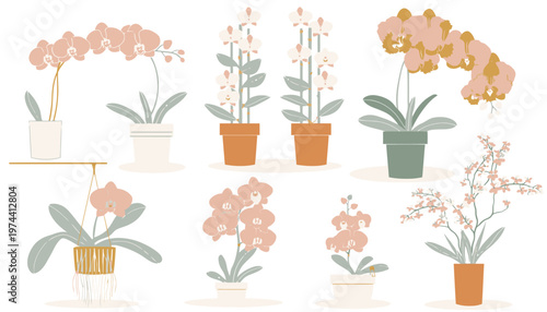 Collection of Various Potted Orchid and Flower Plants.