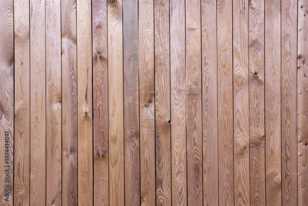 Fototapeta premium Fresh Light Pine Wood Cladding Texture