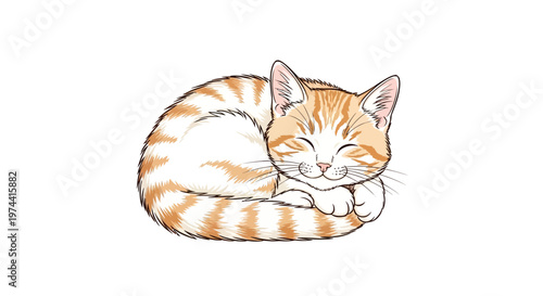 A curled-up orange tabby cat, rendered as a charming cartoon illustration, sleeps peacefully against a clean white background with a soft, comforting aesthetic and gently shaded areas