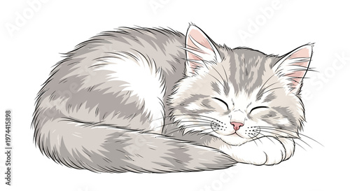 A charming cartoon of a cute tabby cat is curled up, fast asleep on its paws against a plain white background, rendered in a soft, digital illustration style with gentle grey and white