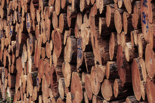 Logs stacked against a wall in a lumber yard during daytime with markings on the wood