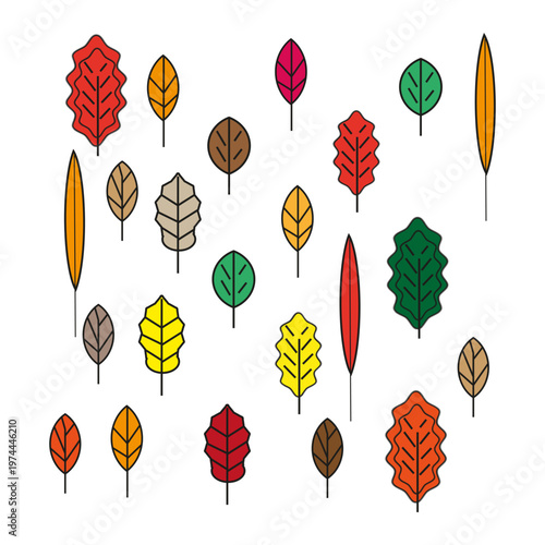 Autumn leaves pattern. Colorful foliage collection. Vector natural elements. Seasonal decorative detail.