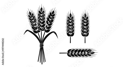 Vector illustration of set of wheat ears icons, black silhouettes on a transparent background