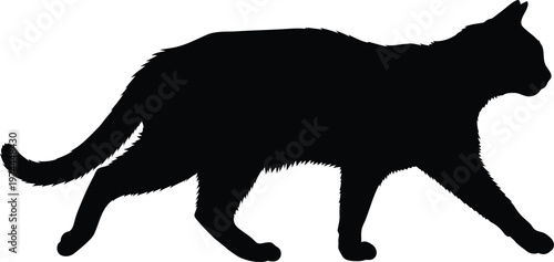 Cat silhouette isolated black domestic animal vector illustration