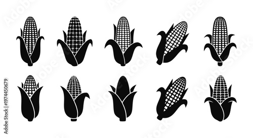 Vector illustration of set of corn icons, vector illustration of maize cobs on a transparent background