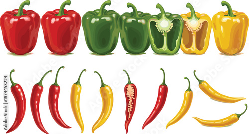 Colorful Pepper Vegetable Set with Bell Peppers and Chili Variations, Fresh Red, Green and Yellow Capsicum Collection, Food Ingredient Vector Illustration for Cooking and Healthy Diet Designs