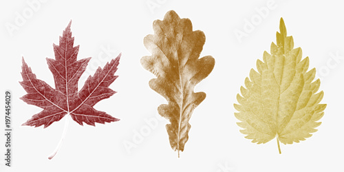 Grunge autumn leaf elements with bold threshold, dusty xerox noise and brutal stipple, echoing 90s punk aesthetics and DIY grit.