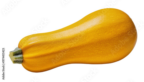Fotografi Ripe golden butternut squash with green stem and textured skin