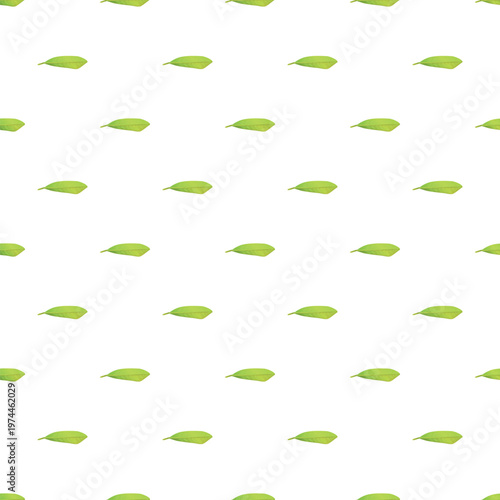 Green leaves creating repetitive foliage pattern on white background