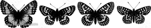 A detailed, intricate grid-patterned butterfly with a stark black silhouette is depicted in a flat vector style against a pure white background, showcasing crisp high contrast edges and minimalist
