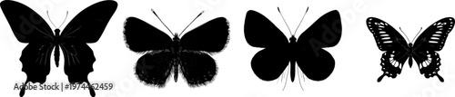 A delicate wood nymph butterfly in stark black silhouette, flat vector style, isolated on pure white background, with crisp high contrast edges and minimalist stencil design