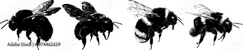 A detailed bumblebee mid-flight profile in a stark black silhouette, rendered in a flat vector style with crisp high contrast edges, isolated on a pure white background, showcasing minimalist stencil