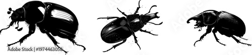 A strikingly detailed elephant beetle illustration in a flat vector style, showcasing its sleek black silhouette against a pure white background with crisp high contrast edges