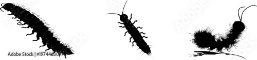 A detailed firefly larva glowworm form, stark black silhouette, isolated on pure white background, crisp high contrast edges, minimalist stencil design, perfect for auto tracing 7