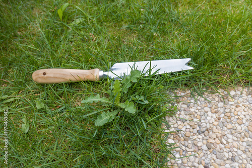 Manual weed remover with handle