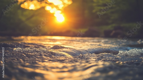 Golden hour sunlight illuminates a flowing river with warm glowing reflections and lush green forest in the background.