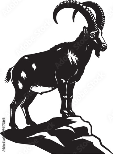 a black and white image of a goat standing on a rock with its head turned to the right. the goat has large curved horns and a white patch on its side., 