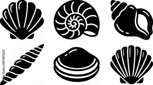 Black and white shell shapes collection vector art with spiral conch and scallop icons