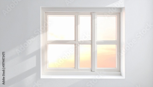 window in the window