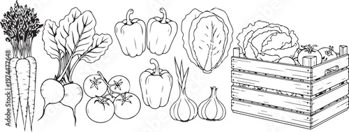 Assorted fresh vegetables and produce including carrots, lettuce, tomatoes, peppers and garlic.