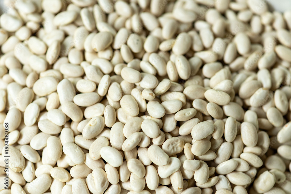 Fototapeta premium Organic white beans for cooking