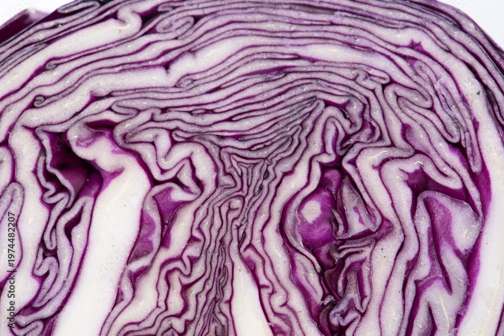 Obraz premium Vibrant sliced purple cabbage closeup.
