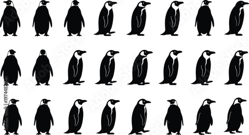 Large collection of black penguin silhouettes in various standing and walking poses for arctic wildlife conservation logos, winter themed graphics, and animal nature illustrations.