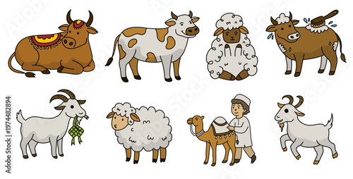 Various types of livestock animals including sheep cows and goats for qurban