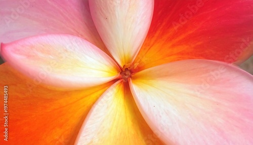 A close-up of a vibrant flower with pink, orange, and yellow petals