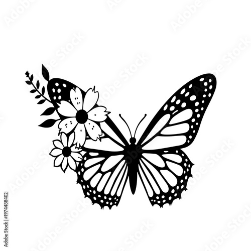 butterfly on white background