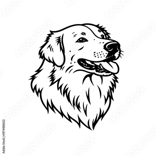 vector illustration of a dog