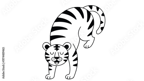 A black and white tiger stretching in a natural setting with stripes pattern