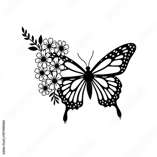 butterfly vector illustration