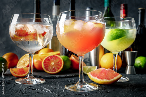 Wallpaper Mural Gin Tonic cocktails in copa glasses at a bar, with orange, pink grapefruit, and lime, side view on a dark background Torontodigital.ca
