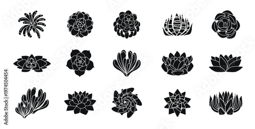 Minimalist of two agave plants in a simple flat design style. Collection of different succulent and cactus silhouettes in black pots on white background  decoration, vector illustration.