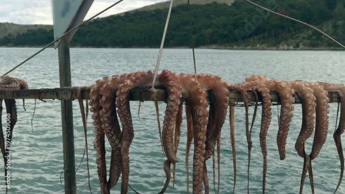 Fresh octopuses left to dry in the open air with a deep blue sea and coastal view. Mediterranean fishing culture and gastronomy-themed travel footage.