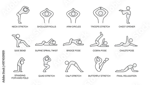Full Body Stretching Routine with 15 Easy Exercises Illustration