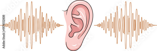Human ear sound waves illustration, auditory perception vector, hearing anatomy diagram, audio frequency concept, healthcare biology design, flat vector illustration
