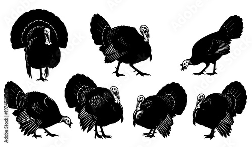 Turkey bird black silhouette vector illustration set