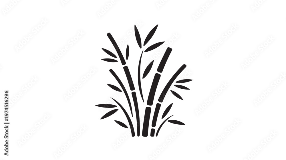 Fototapeta premium Bamboo Plant Silhouette For Nature Concepts