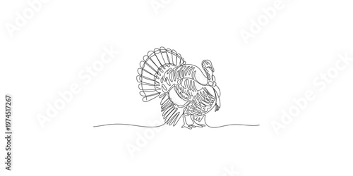 A continuous line drawing of a turkey standing proudly with its feathers fanned out pride